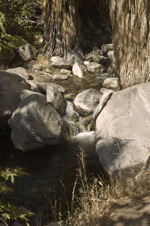 Oasis Springsの写真素材