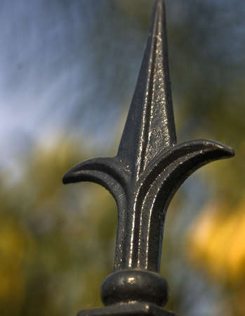 Fleur-de-Lisの写真素材