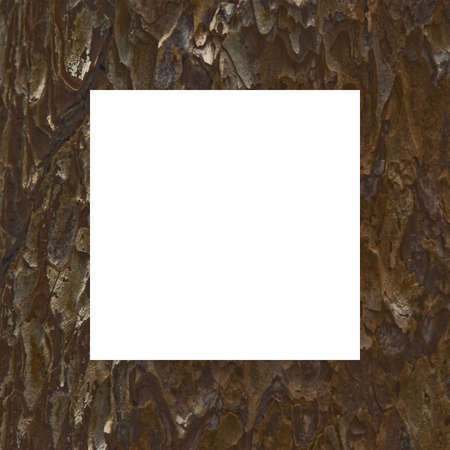 Natural Bark Frameの写真素材
