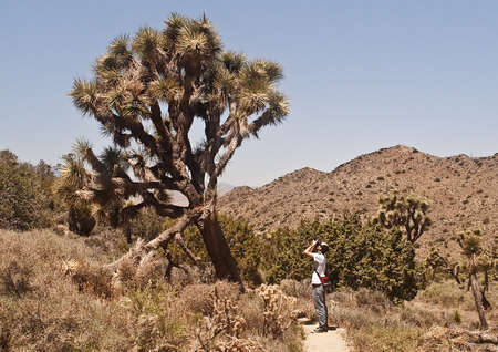 Desert Photographerの写真素材