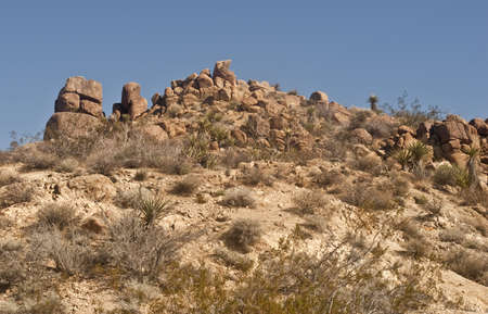 Desert Hillsideの写真素材