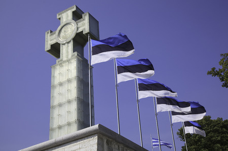 Estonian Flags in Tallinnの写真素材