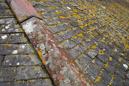 Stone tiled roof with algae texture backgroundの写真素材