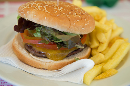 Burger in a sesame seeded bun with french friesの写真素材