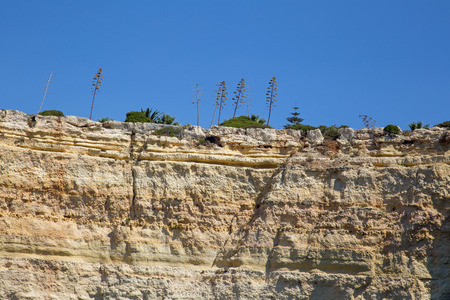 Cliffs at the Algarve coastの写真素材