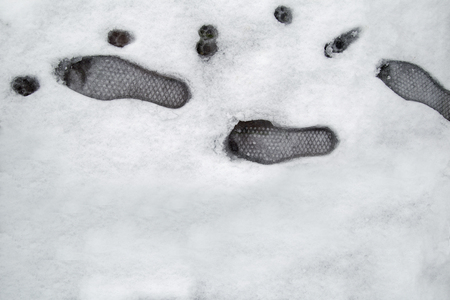 Footprints in snowの写真素材