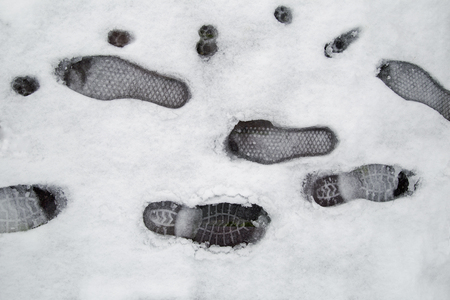 Footprints in snowの写真素材