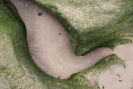 Green moss covered rock formations on a sandy cornish beachの写真素材