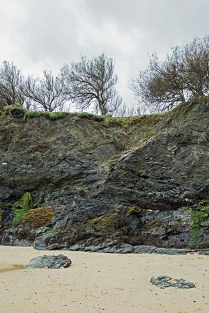 Trees cling to a cliff at a beach at Cornwallの写真素材