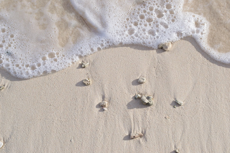 Textures in the sandの写真素材