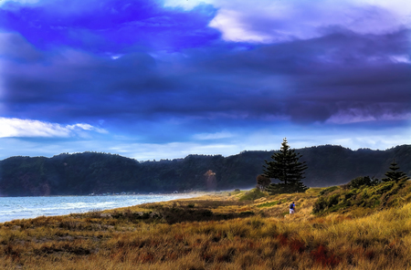 Remote isolated seaside beach with man walking dogs in backgroundの写真素材