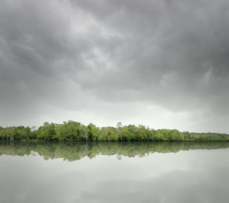 Photo Illustration of a river's edge landscape.の写真素材