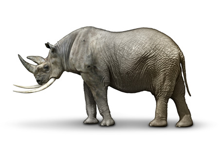 Republican In Name Only, represented by a half rhinoceros, half Elephant.の写真素材
