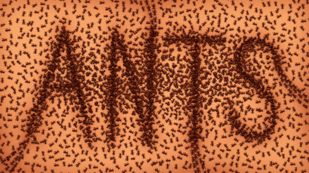 Digital illustration of ants congregating to spell out the word ants.の写真素材