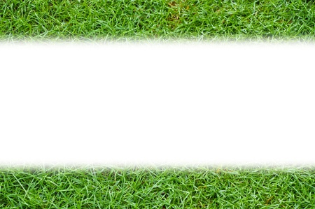 Simple template green grass background isolatedの写真素材