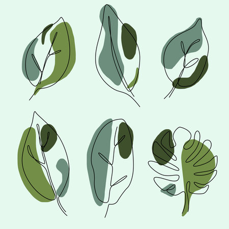 set of one line continuous drawing tropical leaf. Summer botanical leafのイラスト素材