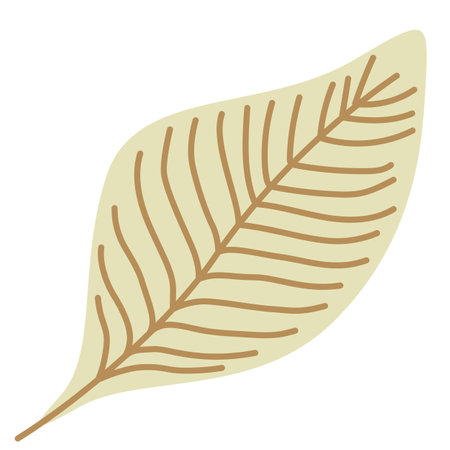 hand drawn shapes and floral design elements. Exotic jungle leaves. Abstract contemporary modern trendy illustrations element iconのイラスト素材