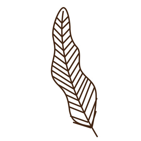 hand drawn shapes and floral leaf design elements. Exotic jungle leaves. Abstract contemporary modernのイラスト素材