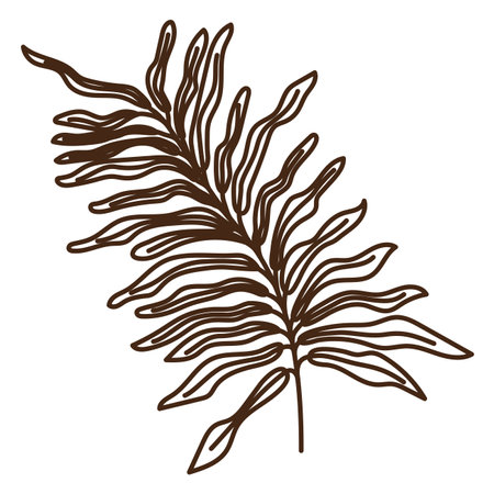 hand drawn shapes and floral leaf design elements. Exotic jungle leaves. Abstract contemporary modernのイラスト素材