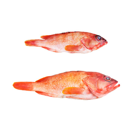 Cherry barbの写真素材