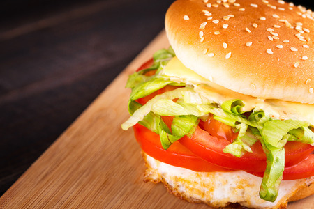 Hamburgerの写真素材