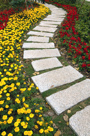 Pathway in flowers blossom gardenの写真素材