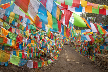 Prayer flags on mountain