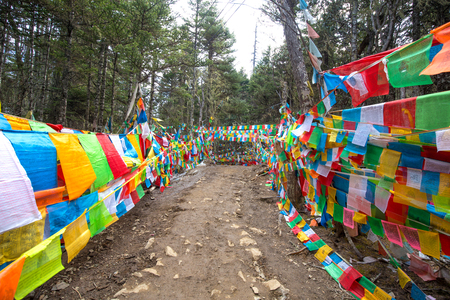 Prayer flags on mountainの写真素材