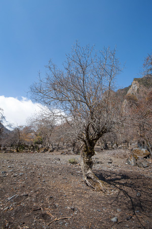 Country in droughtの写真素材