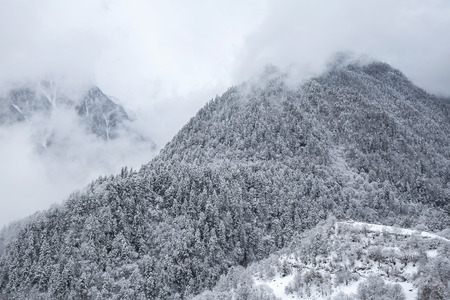Mountain in snow