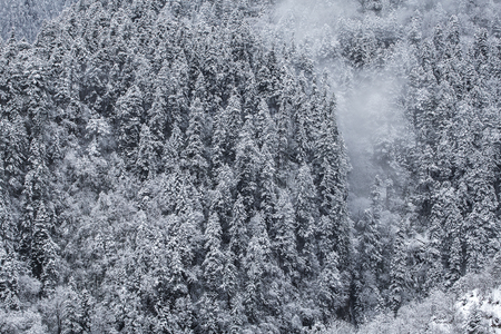 Mountain in snowの写真素材