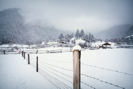 Country in snowの写真素材
