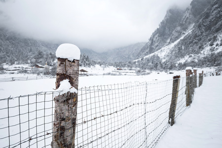 Country in snowの写真素材
