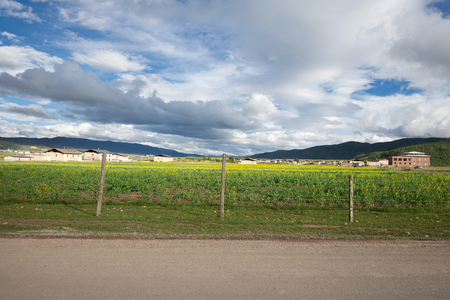 Farm in countryの写真素材