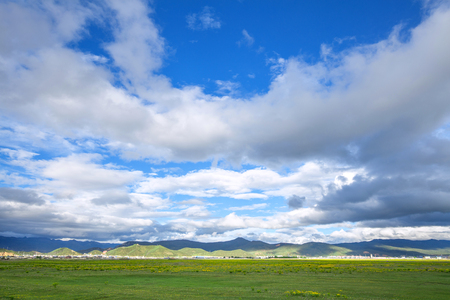 Lawn with skyの写真素材