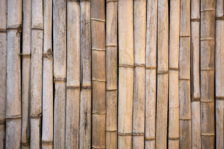 Bamboo backgroundの写真素材