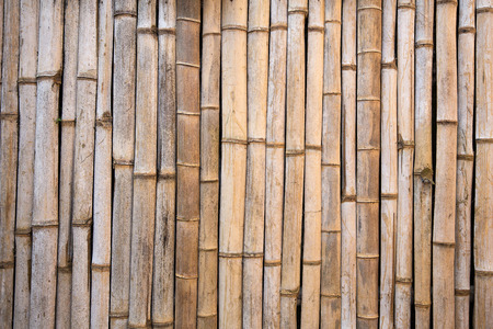 Bamboo backgroundの写真素材