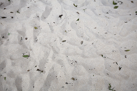 Sandの写真素材
