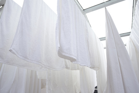 Drying white clothの写真素材