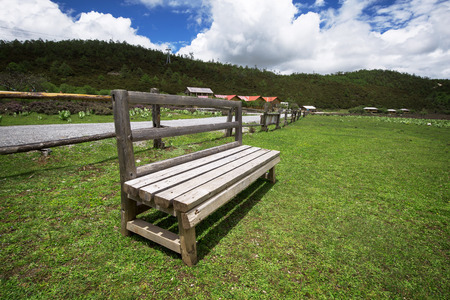 bench on the lawnの写真素材