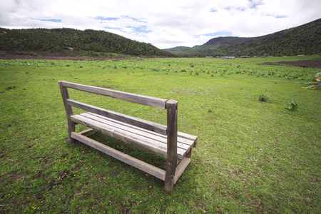 bench on the lawnの写真素材