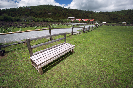 bench on the lawnの写真素材