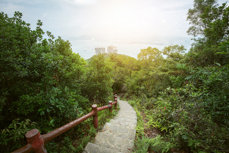 Pathway on mountainの写真素材