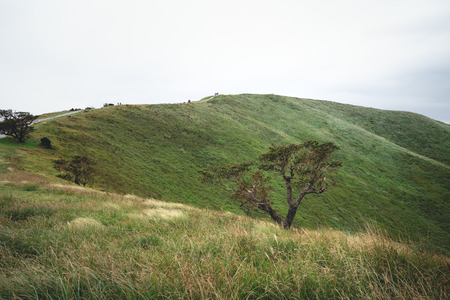 landscape on omuro mountain shizuoka japanの写真素材