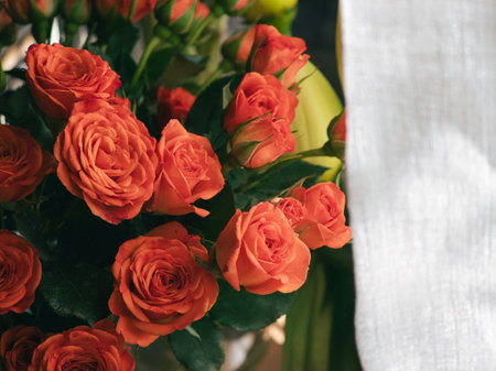 Fresh Roses with sunlight backgroundの写真素材
