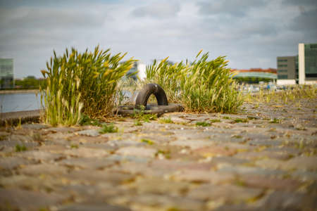 green nature by the waterfront in modern living area Southharbour in Copenhagen Denmarkの写真素材