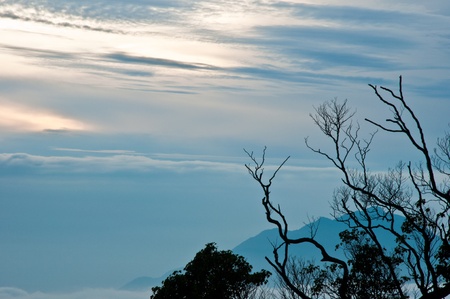 this photo was taken early morning at Mountain Sinabung located at North Sumatera, Indonesiaの写真素材