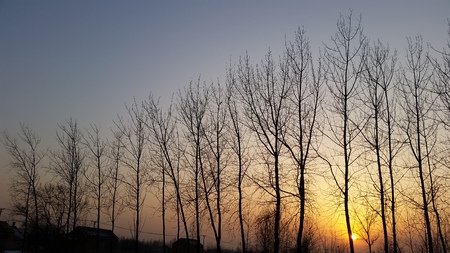 sunset sceneryの写真素材