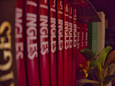 red language book series on the houseの写真素材