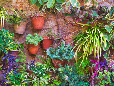 beauty small village in mallorca, called Valldemosa, nice flowersの写真素材